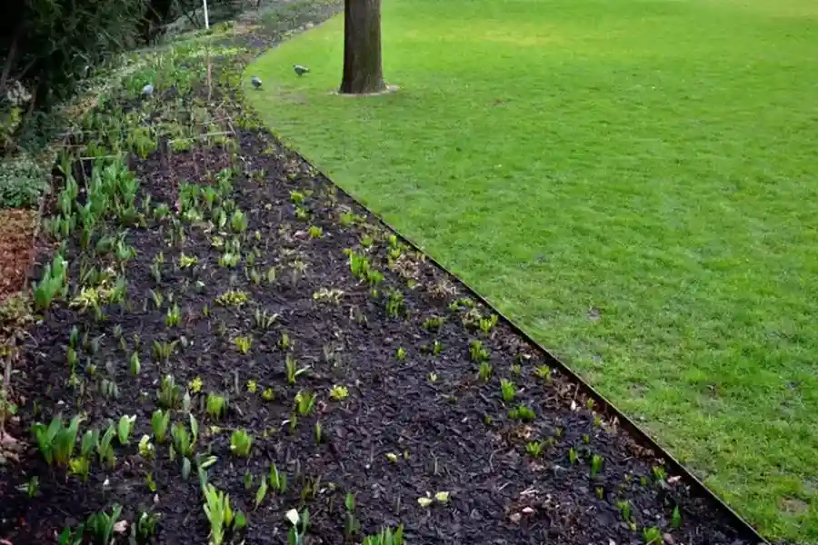 Expert Lawn Edging Woodbridge, VA Expert Lawn Edging Woodbridge, VA