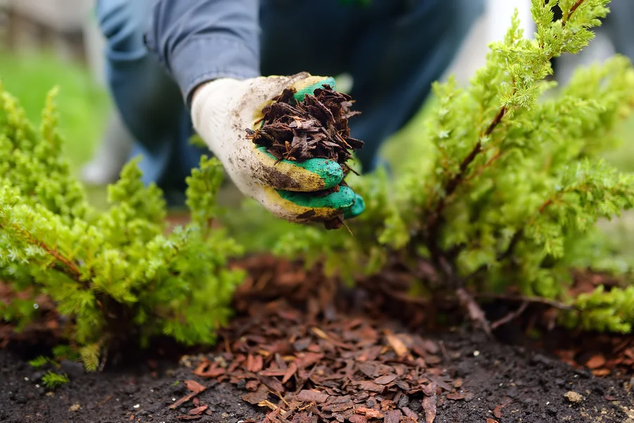 How Mulch Helps In Preventing Erosion In Landscaped Areas in Woodbridge, VA How Mulch Helps In Preventing Erosion In Landscaped Areas in Woodbridge, VA