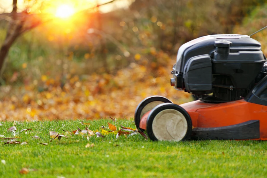 Seasonal Lawn Care Strategies For A Healthy Green Yard in Woodbridge, VA Seasonal Lawn Care Strategies For A Healthy Green Yard in Woodbridge, VA
