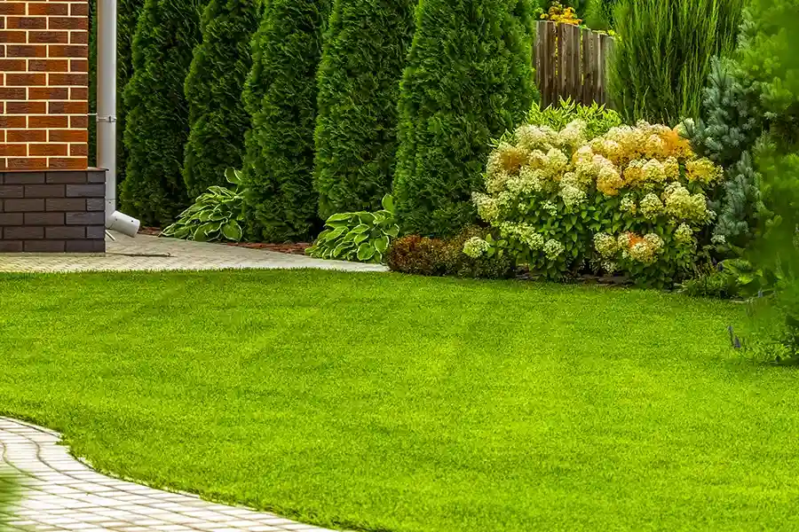 Top-rated Lawn Care Service Woodbridge, VA Top-rated Lawn Care Service Woodbridge, VA