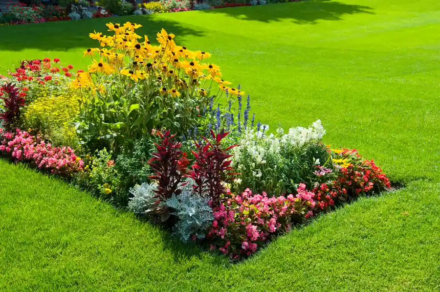 Transform Your Yard With Expert Landscape Design Services Woodbridge, VA Transform Your Yard With Expert Landscape Design Services Woodbridge, VA